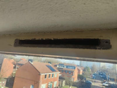250303 Paulus Buysstraat SamenStaanWeSterk400